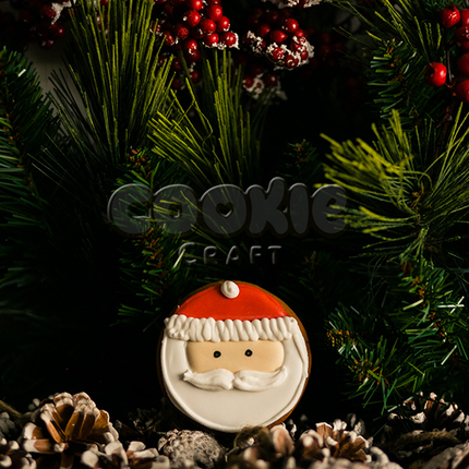 Набор пряников "Новогодние персонажи" - магазин CookieCraft