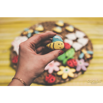 Набор пряников “Цветочное поле” - магазин CookieCraft