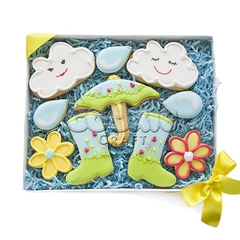Набор пряников "Весенний дождик" - магазин CookieCraft